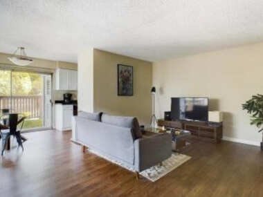 Serene 1BR Apartment in Mountain View